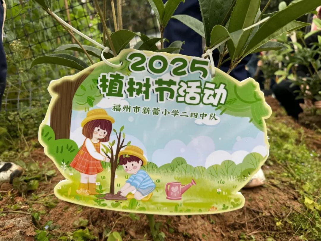 创意树牌，寄语未来.jpg
