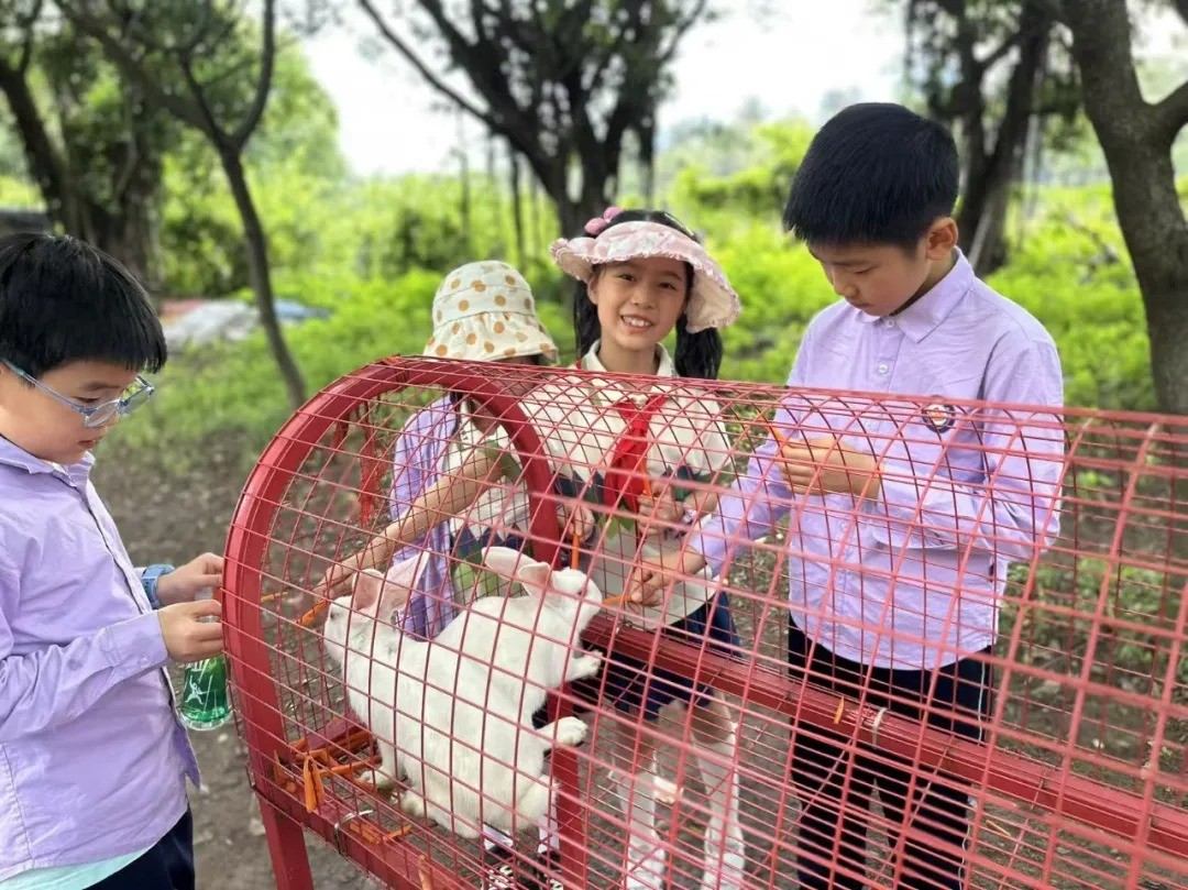 微信图片_2026-05-06_142409_388.jpg