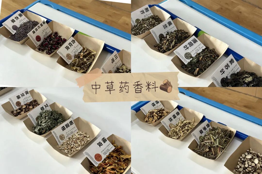 微信图片_2026-06-22_102451_424.jpg